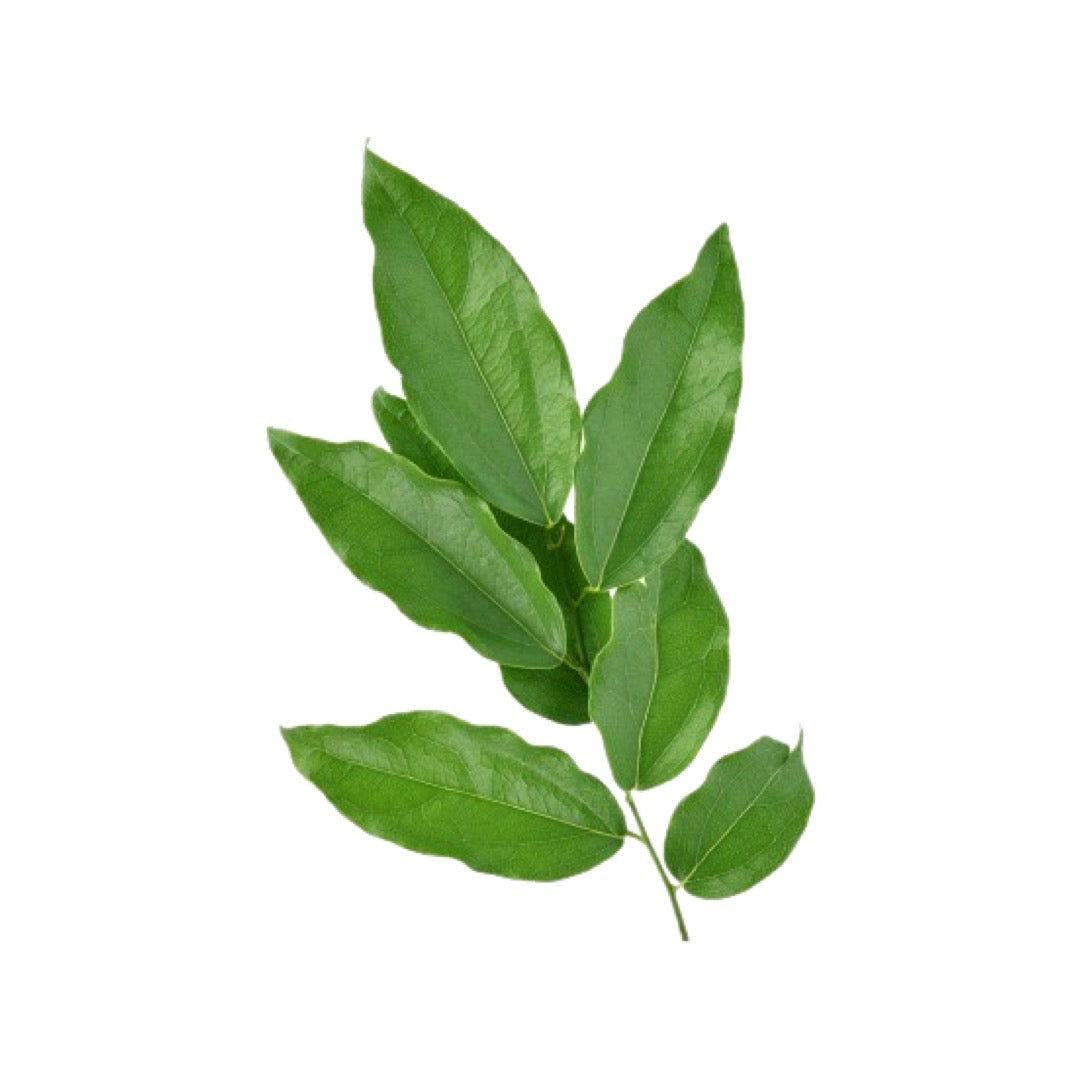 Yanang-Blätter (ใบย่านาง) 100g