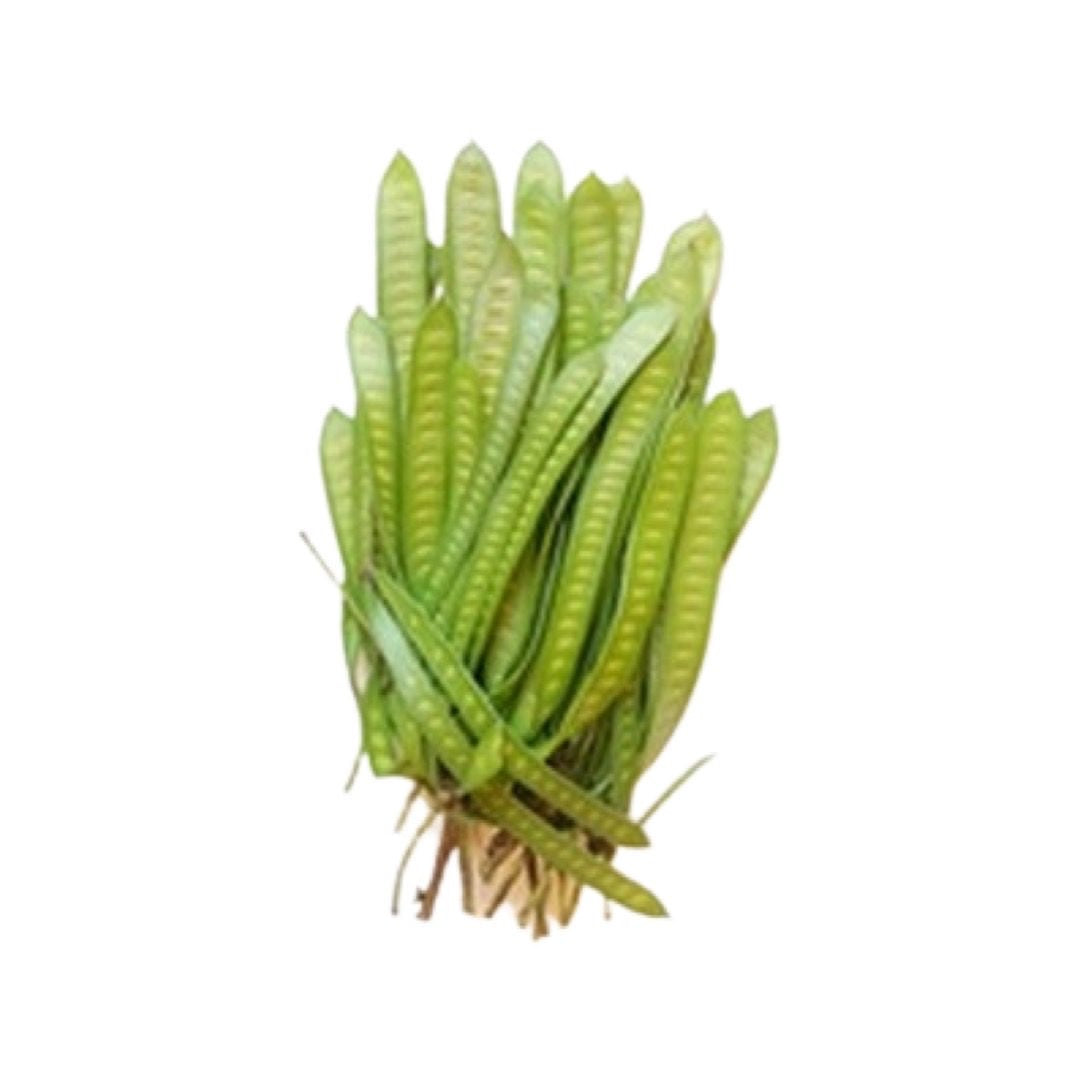 Junge Wilde Akazien-Samenkapseln (ฝักกระถินอ่อน) 100g