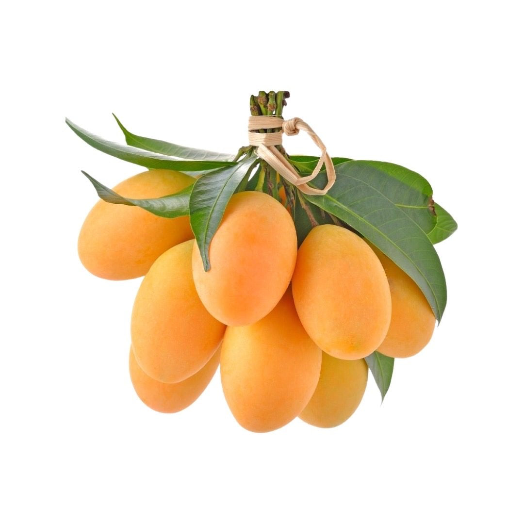 Marianische Pflaume (มะยงชิด)