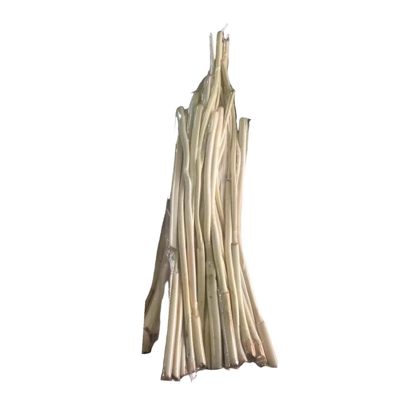 Junge Rattansprossen geschält (หวายอ่อนปอกเปลือก) 500g