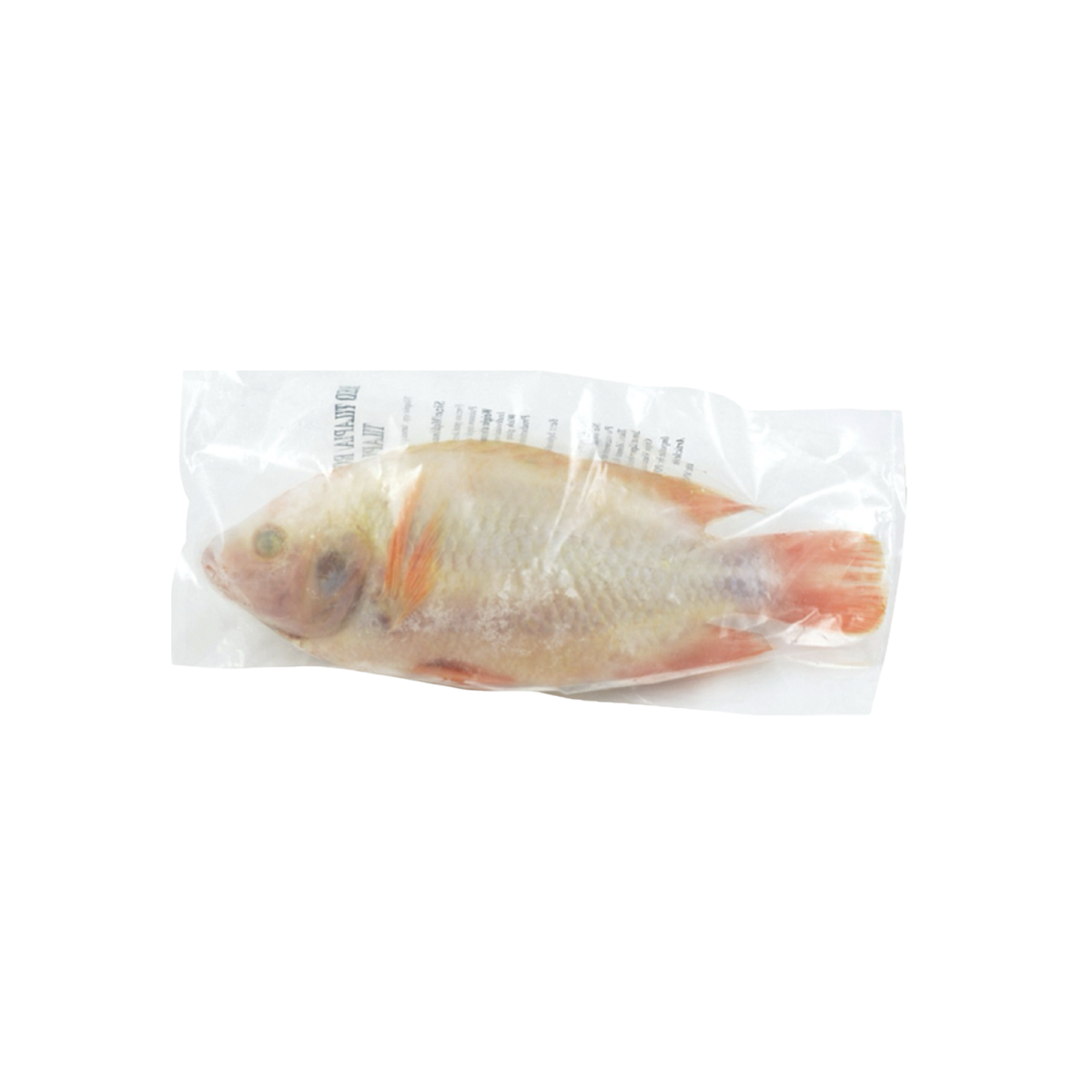 Roter Buntbarsch Ganz, Ausgenommen (ปลาทับทิมแช่แข็ง ขูดเกล็ดและควักไส้) 500-800g - Ohayo Asia Shop