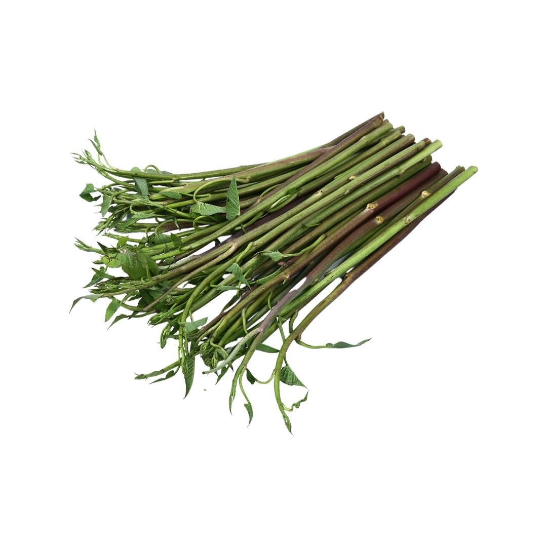 Roter Wasserspinat (ผักบุ้งแดง) 100g