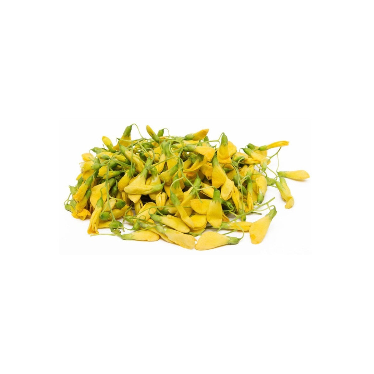 Frische Sesbania-Blüten (ดอกโสน) 100g - Ohayo Asia Shop