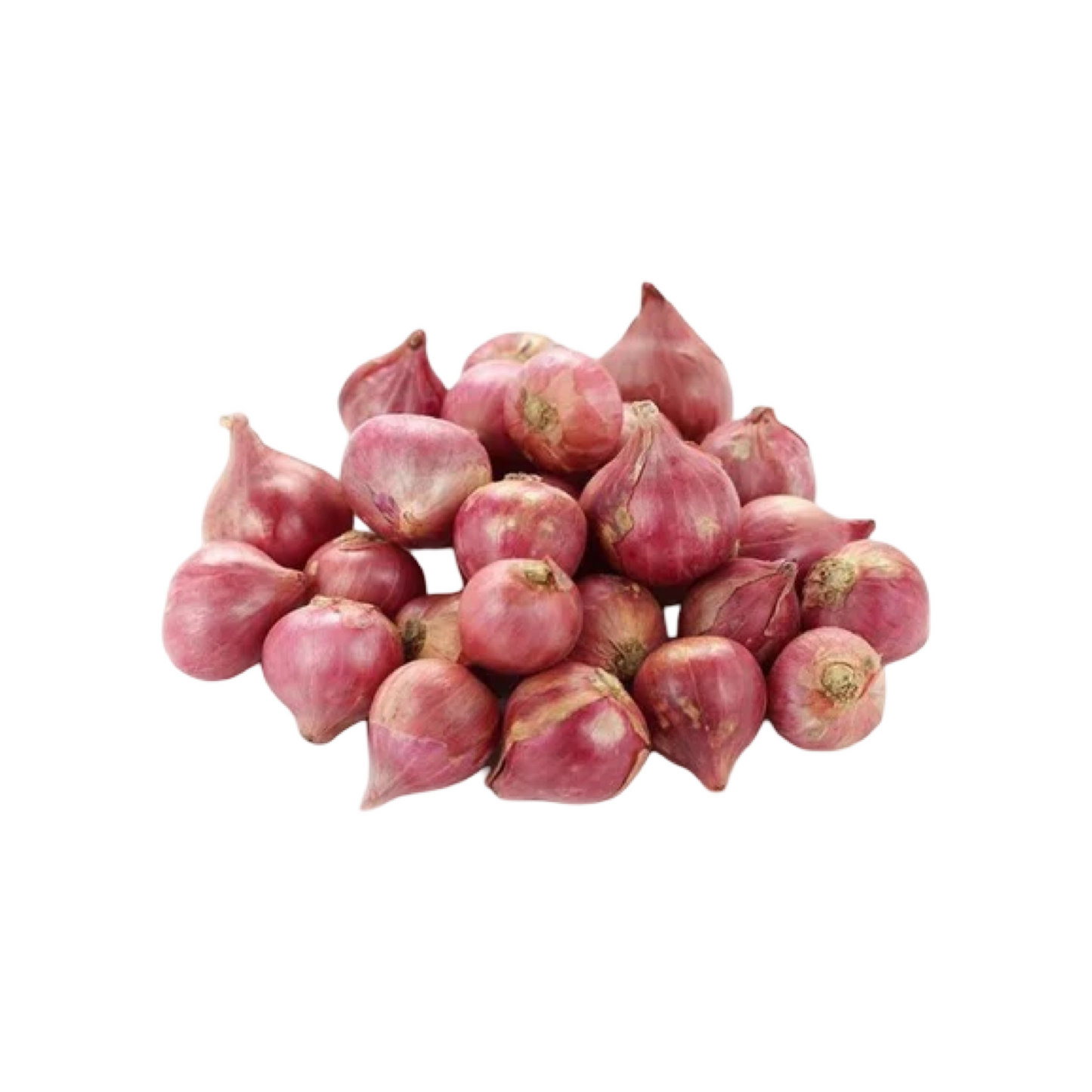 Schalotten (หอมแดง) 100g