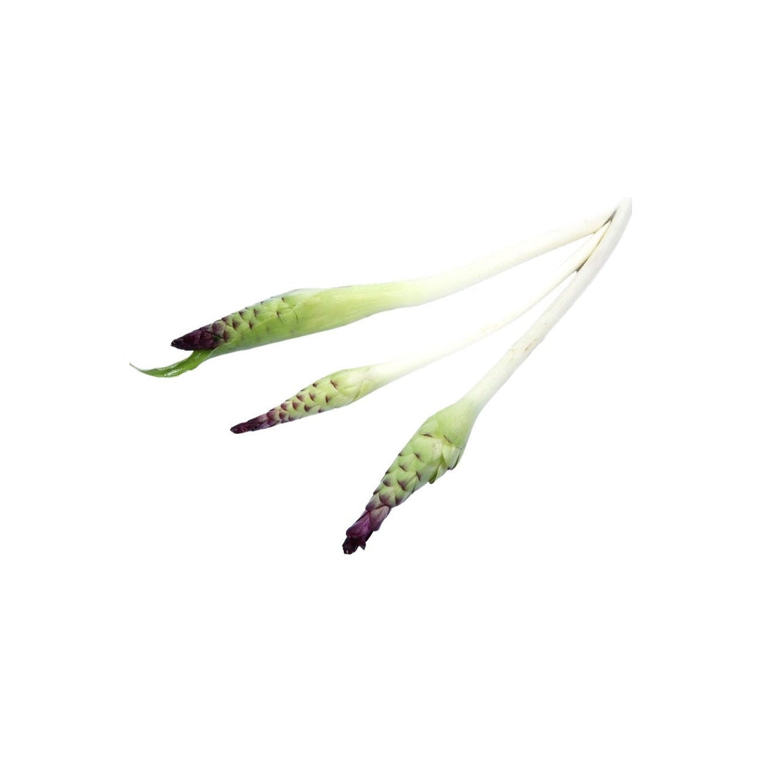 Frische Siam-Tulpenblüten (ดอกกระเจียว) 100g - Ohayo Asia Shop