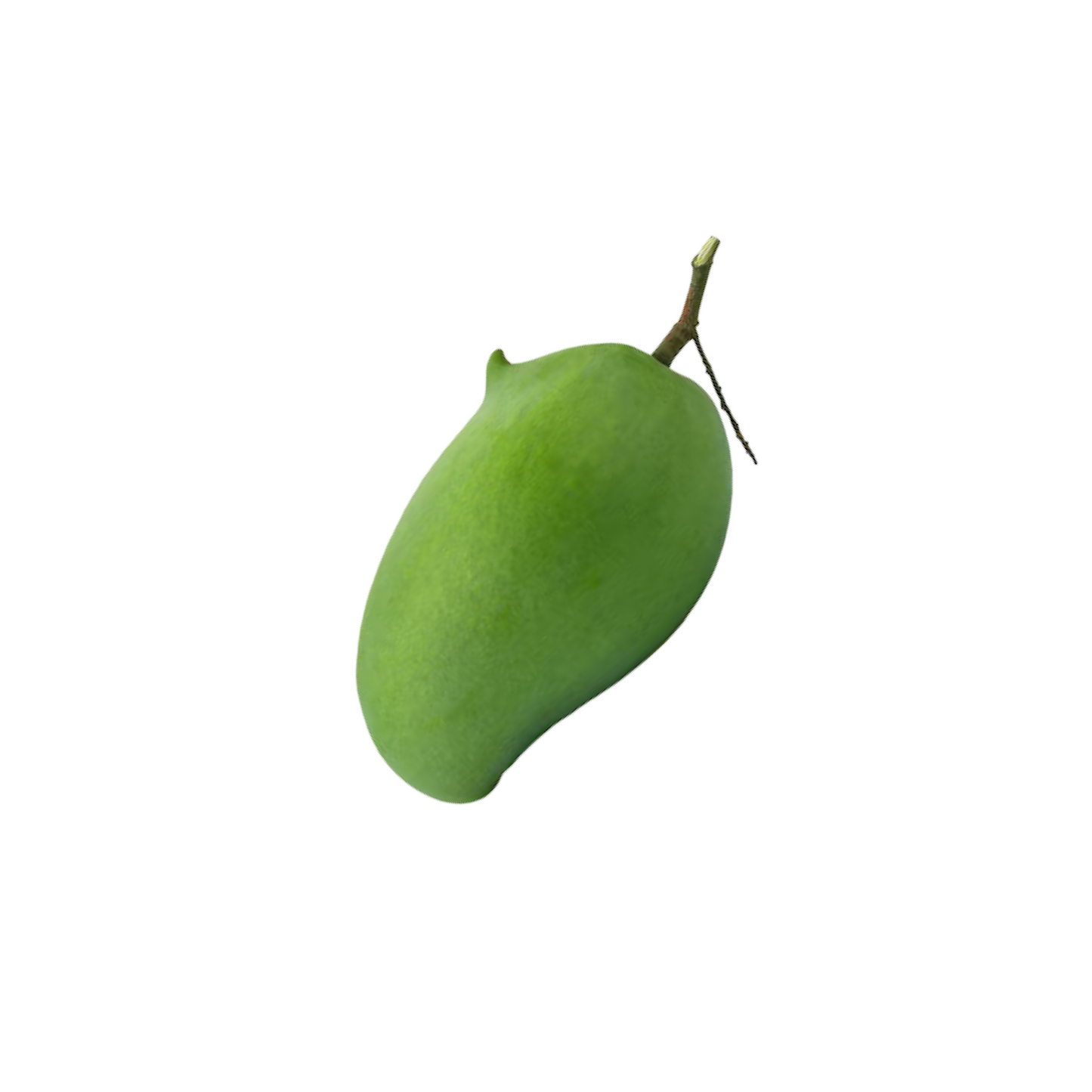 "Rad" Mangos (มะม่วงแรด) 1000g