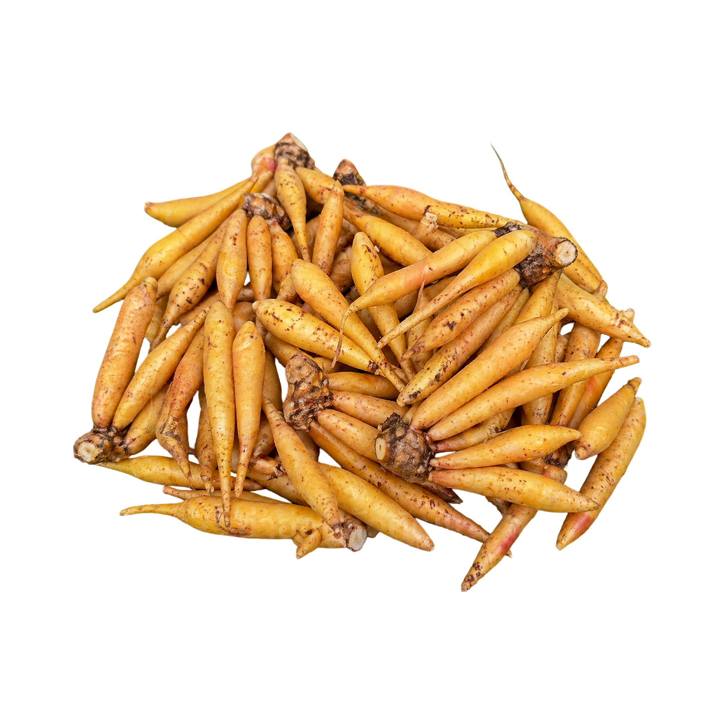 Fingerwurzel (กระชาย) 1000g