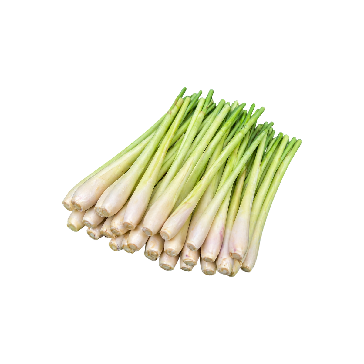 Frisches Zitronengras (ตะไคร้) 1000g - Ohayo Asia Shop