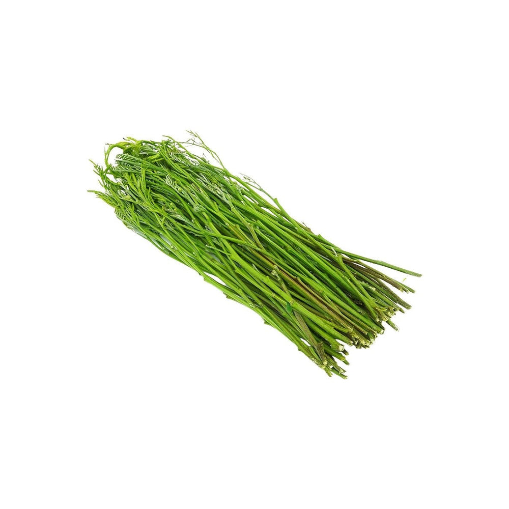 Frische Leucaena-Triebe (ยอดกระถิน) 100g - Ohayo Asia Shop