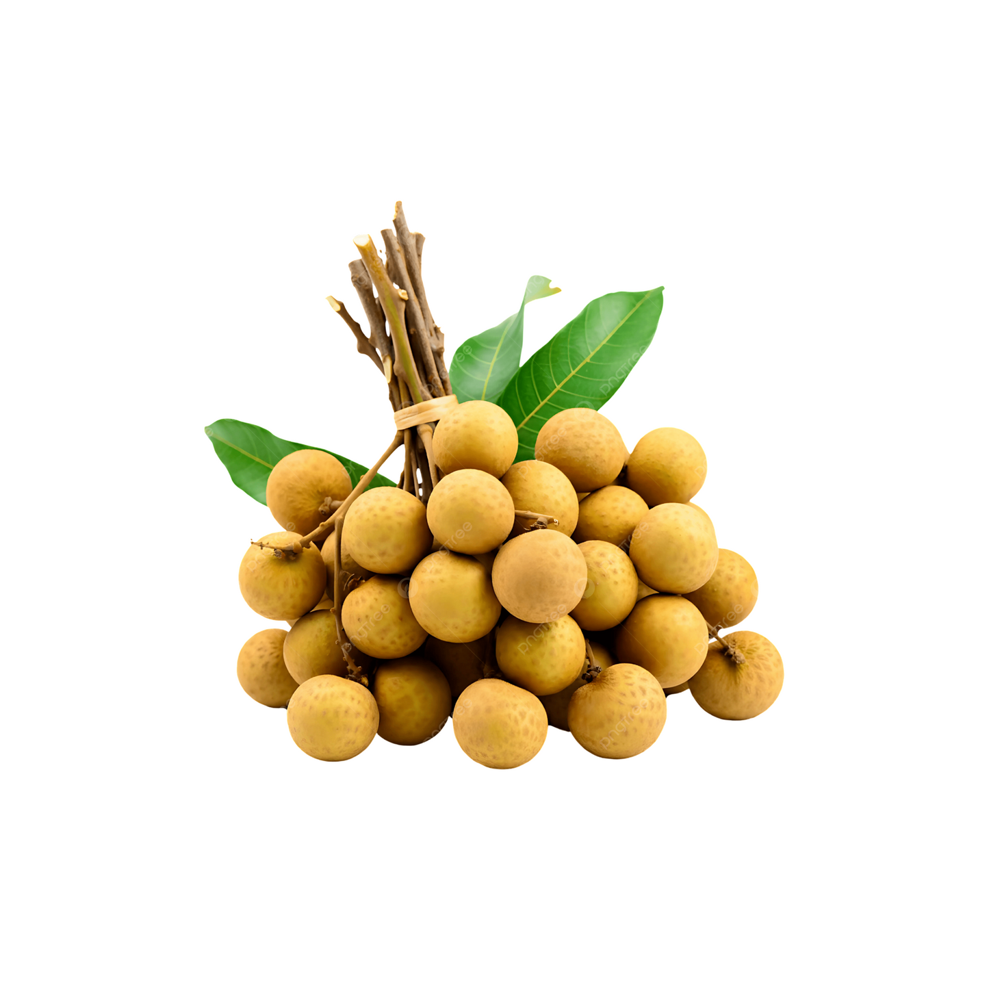Longan (ลำไย)