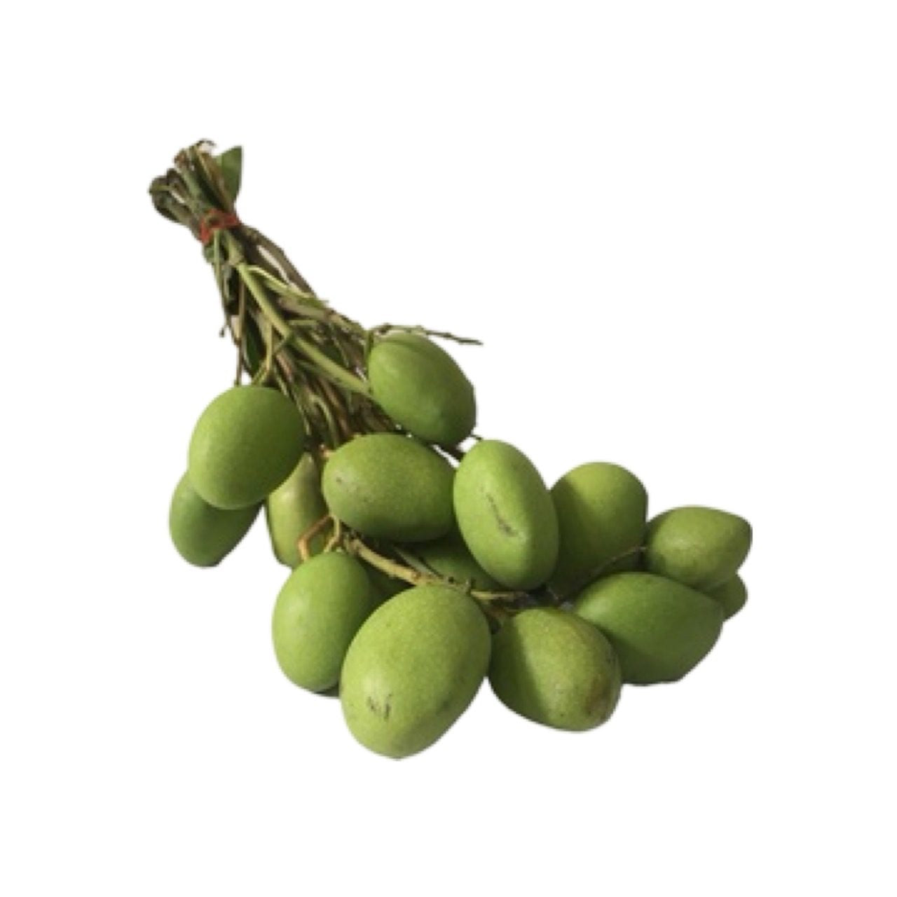 Saure Mini-Mango (มะม่วงเบา)