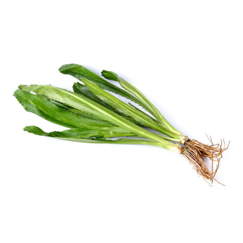 Langer Koriander (ผักชีฝรั่ง) 80g