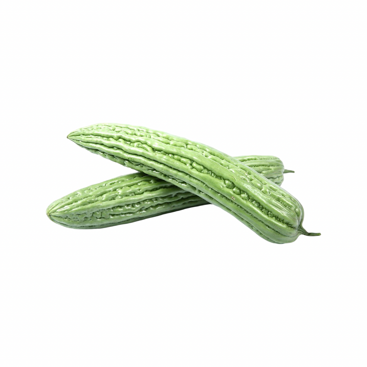 Frische Bittermelone (มะระจีนสด) ca. 500g - Ohayo Asia Shop
