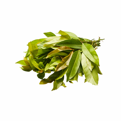 Frische Chamuang-Blätter (ใบชะมวงสด) 100g - Ohayo Asia Shop