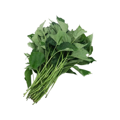 Wildbetel-Blätter (ใบชะพลู) 100g