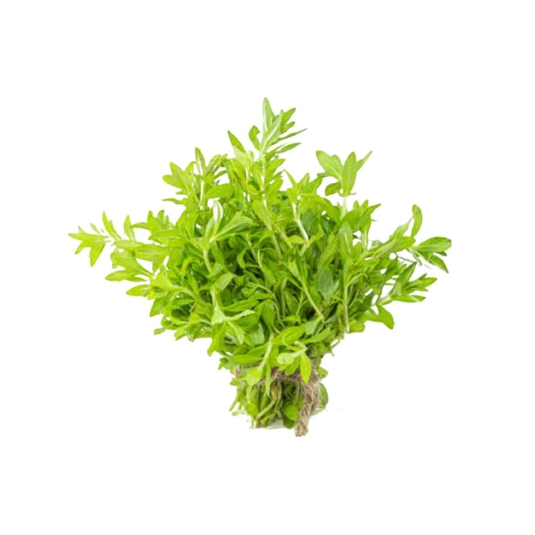 Reisfeldkraut (ผักแขยง) 100g