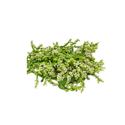 Malabar-Spinat Blüten (ดอกผักปลัง) 100g