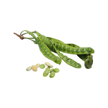 Frische  Gestank-Bohnen in der Schote (สะตอฝักสด) 250g - Ohayo Asia Shop