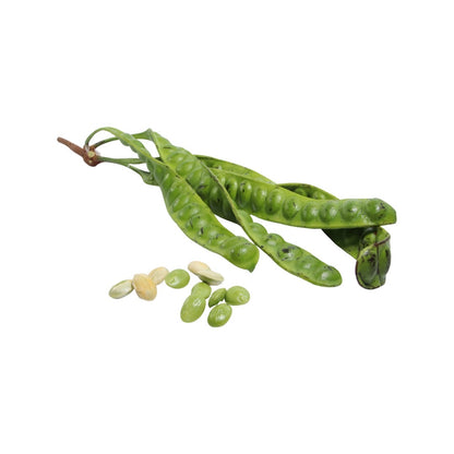 Gestank-Bohnen in der Schote (สะตอฝักสด) 250g
