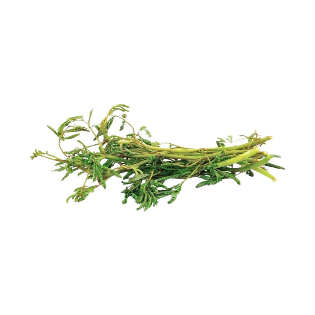 Wassermimose (ผักกระเฉด) 100g