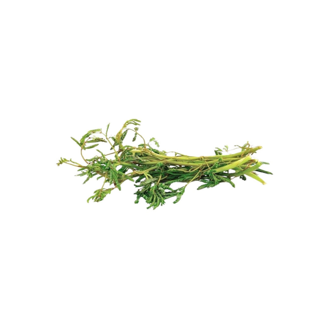 Frische Wassermimose (ผักกระเฉด) 100g - Ohayo Asia Shop