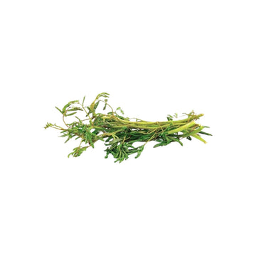 Frische Wassermimose (ผักกระเฉด) 100g - Ohayo Asia Shop