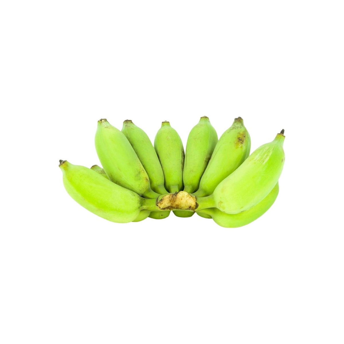 Frische  Thai-Kochbananen (กล้วยน้ำว้า) - Ohayo Asia Shop