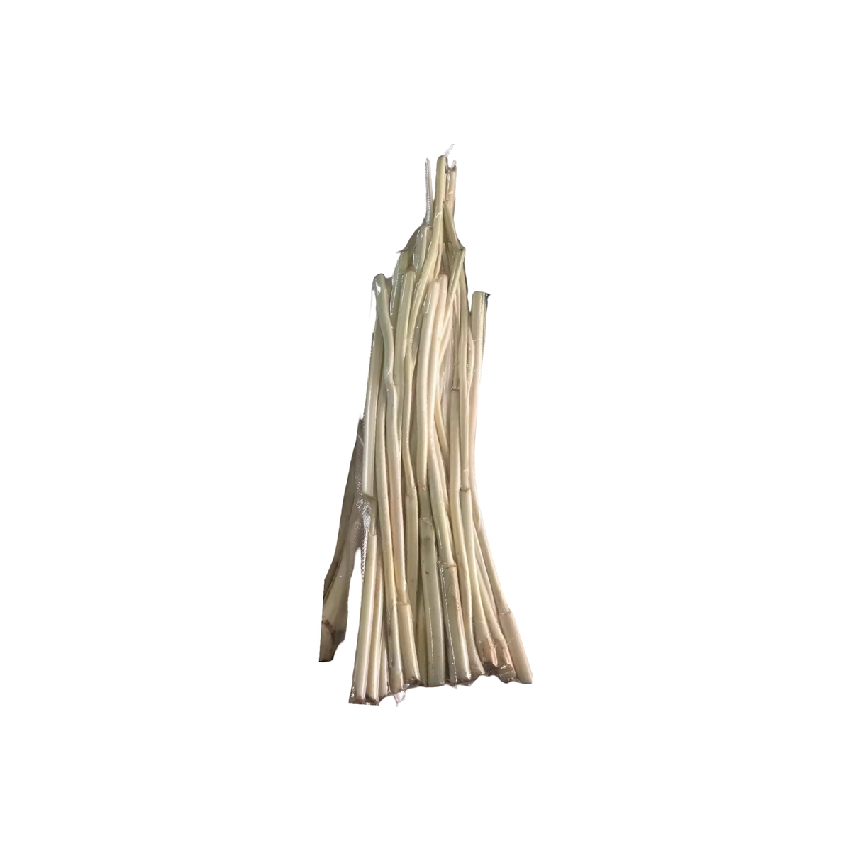 Frische  Junge Rattansprossen geschält (หวายอ่อนปอกเปลือก) 500g - Ohayo Asia Shop
