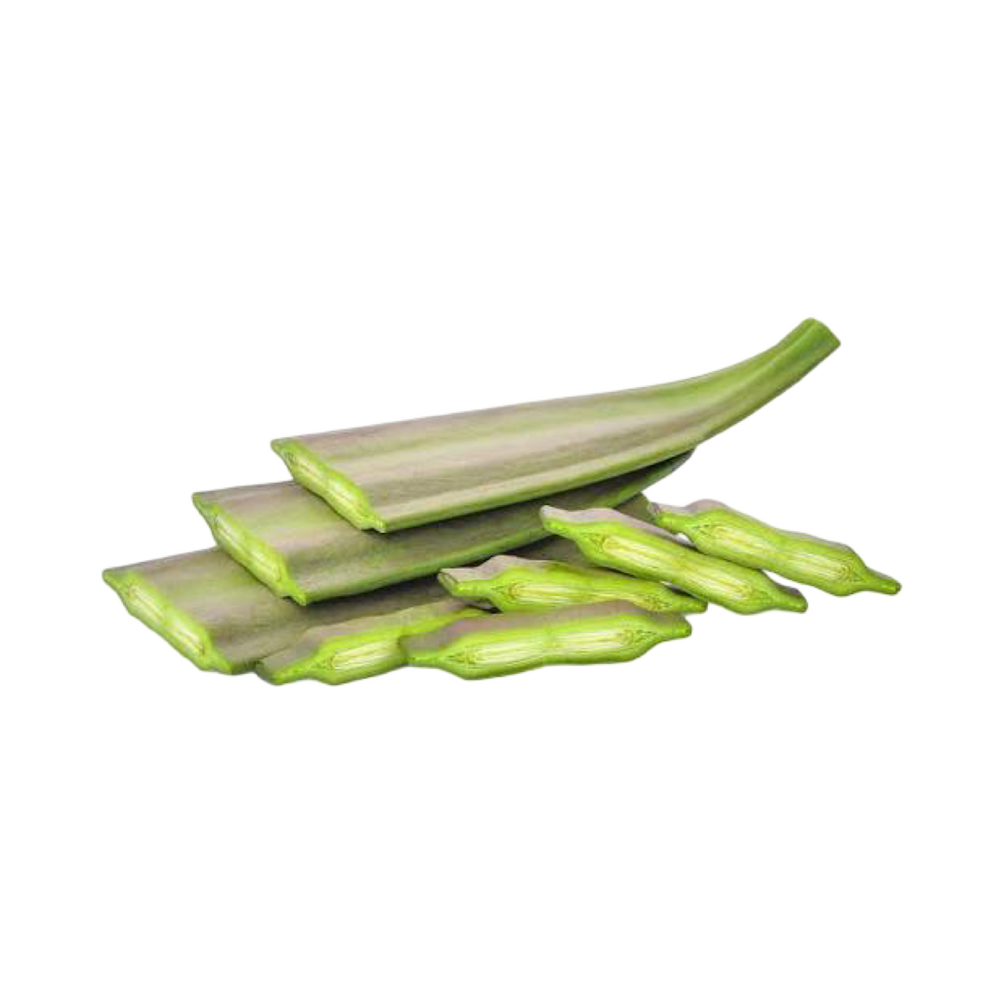 Indische Trompetenblume 1 Stück (ลิ้นไม้) 300g