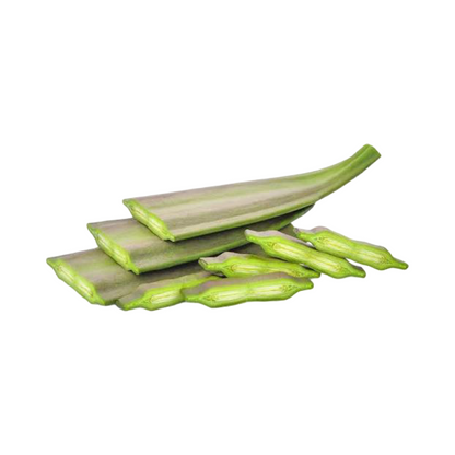 Indische Trompetenblume 1 Stück (ลิ้นไม้) 300g