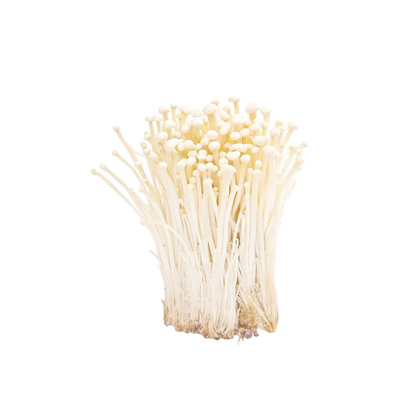 Enoki Pilze (เห็ดเข็มทอง) 100g