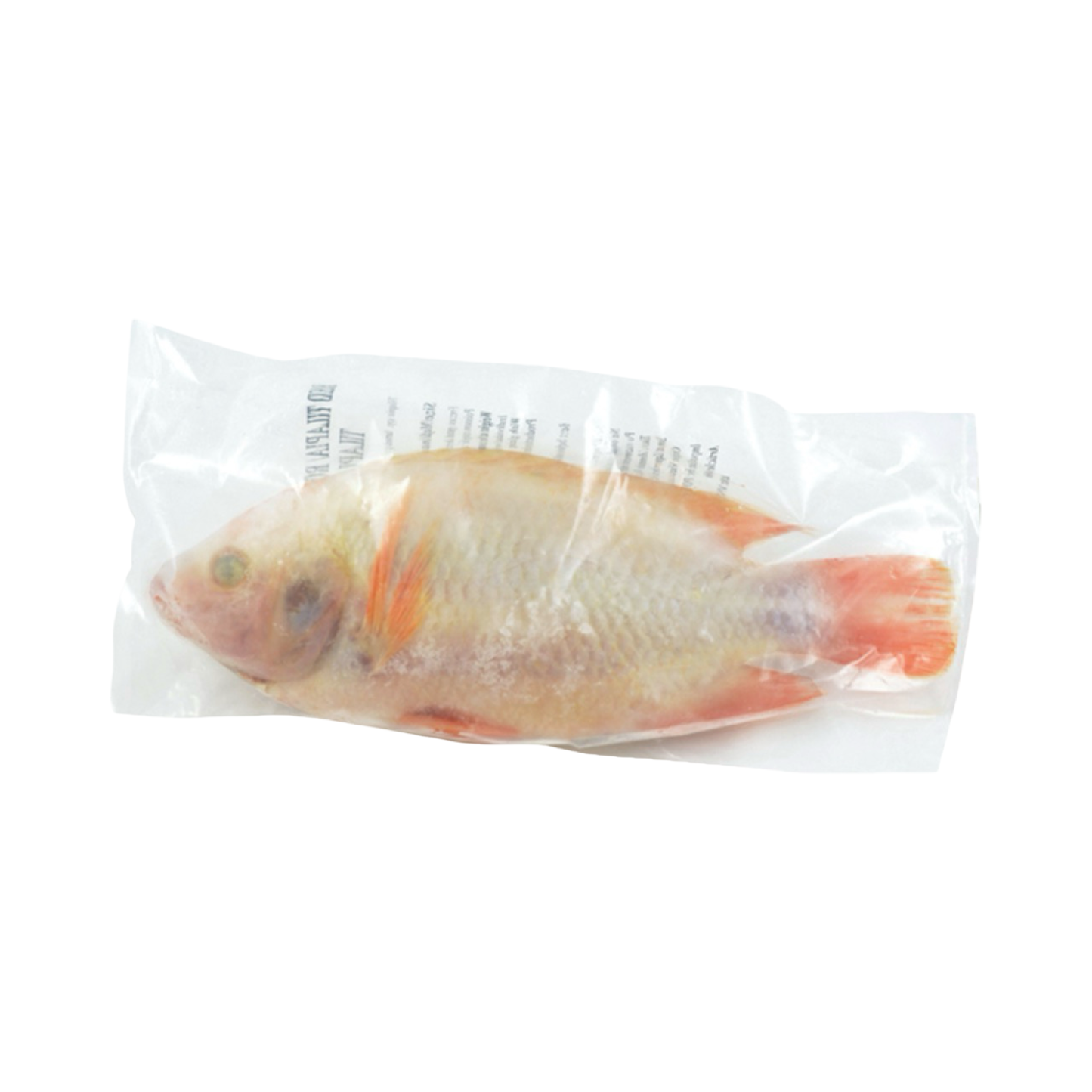 Roter Buntbarsch Ganz, Ausgenommen (ปลาทับทิมแช่แข็ง ขูดเกล็ดและควักไส้) 500-800g