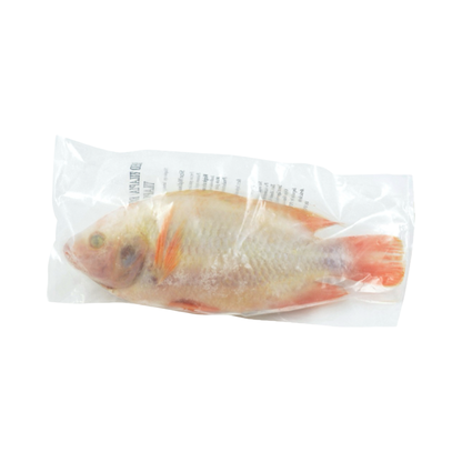 Roter Buntbarsch Ganz, Ausgenommen (ปลาทับทิมแช่แข็ง ขูดเกล็ดและควักไส้) 500-800g
