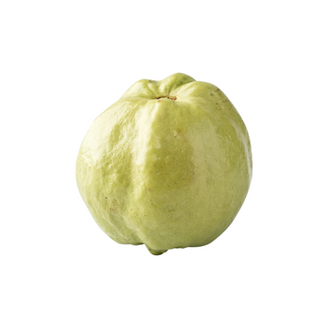 Frische Runde Guave (Sali) (ฝรั่งกลมสาลี่) ca. 950-1000g - Ohayo Asia Shop