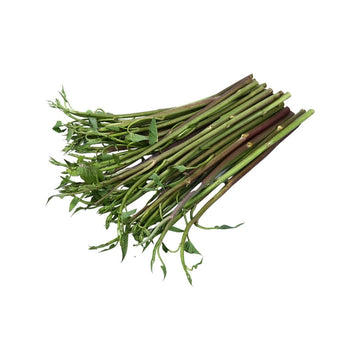 Frischer Roter Wasserspinat (ผักบุ้งแดง) 100g - Ohayo Asia Shop