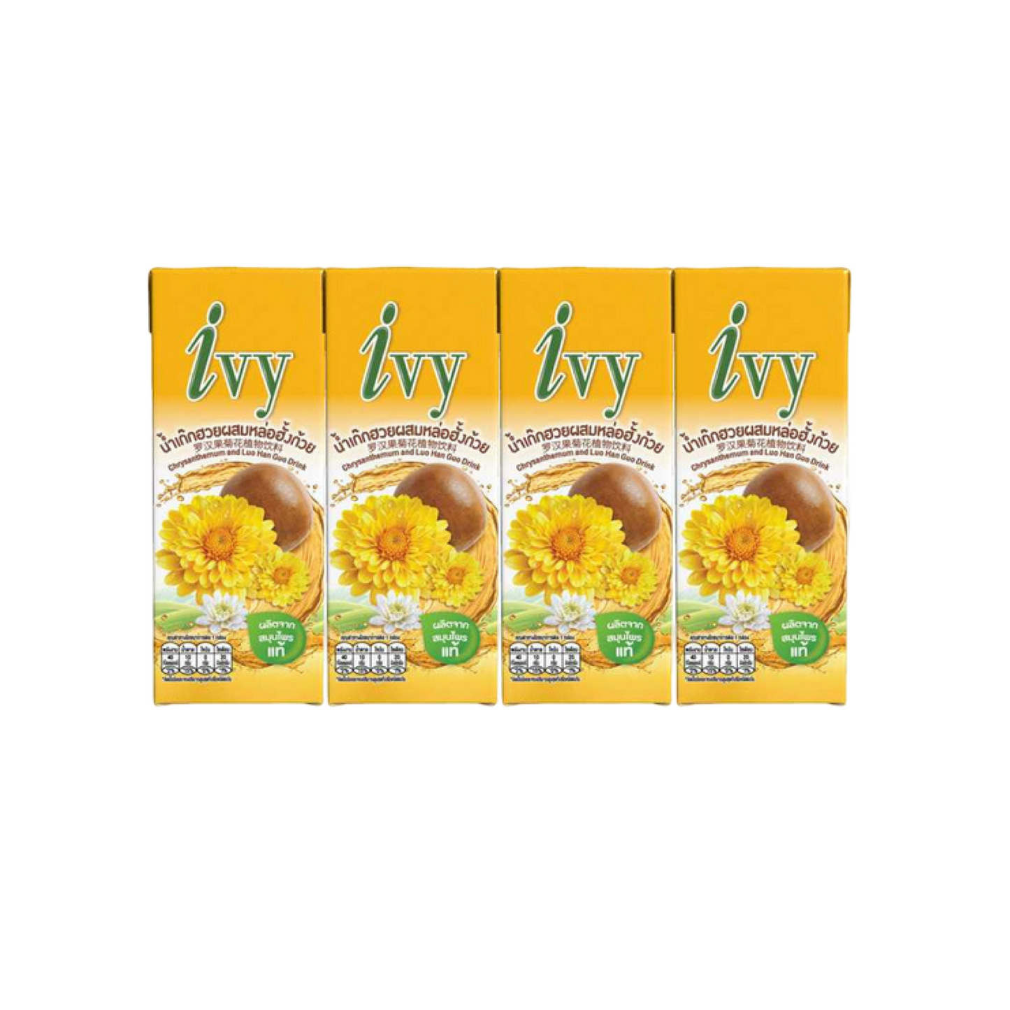 IVY Chrysanthemen- und Luo-Han-Guo-Getränk (น้ำเก๊กฮวยผสมหล่อฮั้งก้วย ไอวี่) 4x170ml