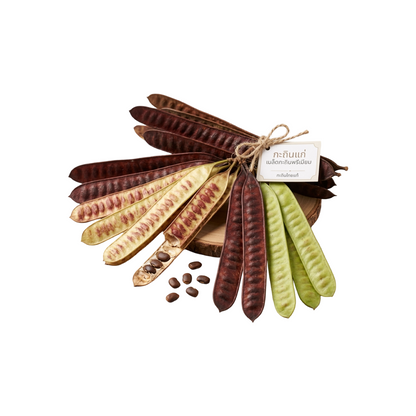 Reife Leucaena-Schoten (ฝักกระถินแก่) 100g
