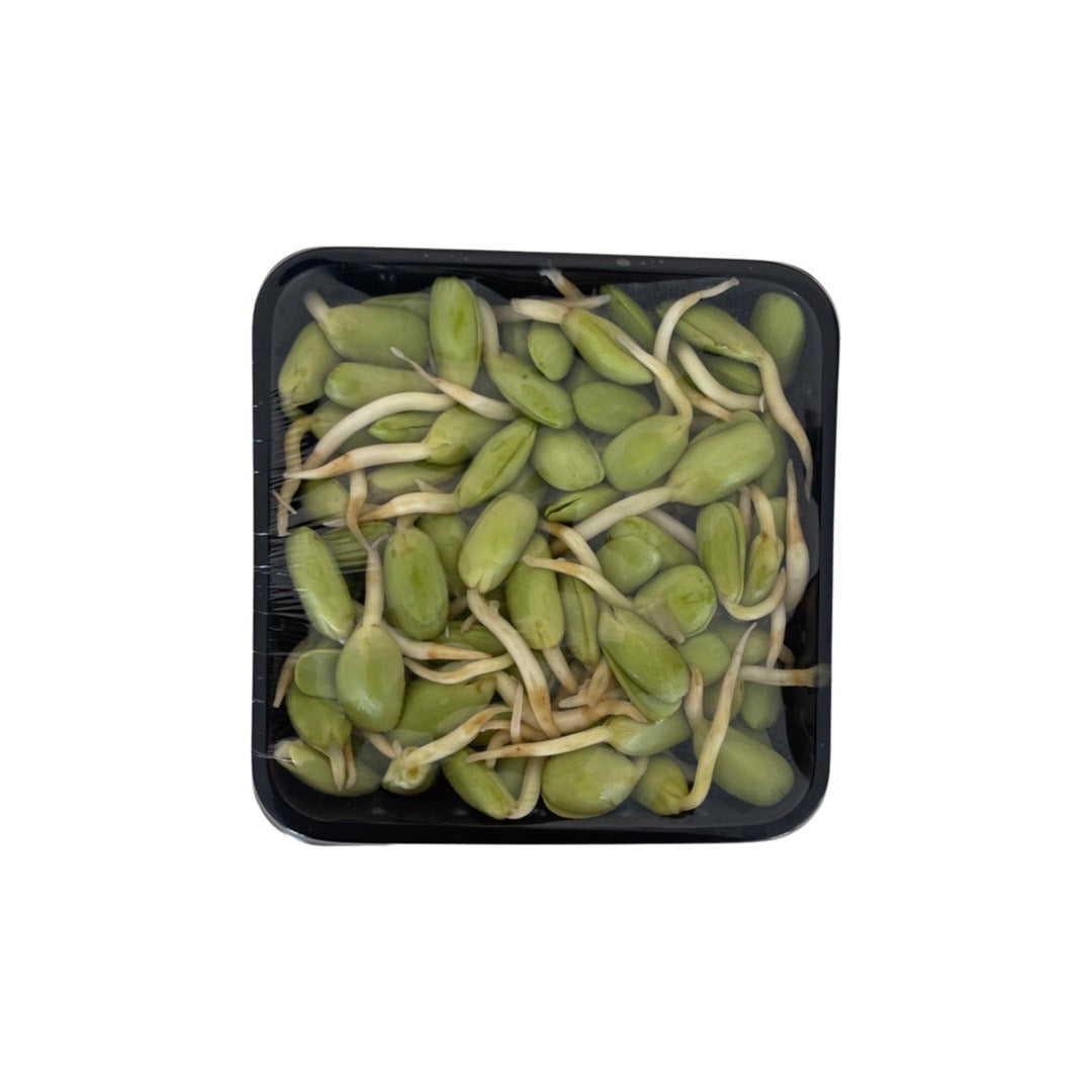 Gekeimte Niwah-Bohnen (geschält) (ลูกเหรียงแกะ) 100g