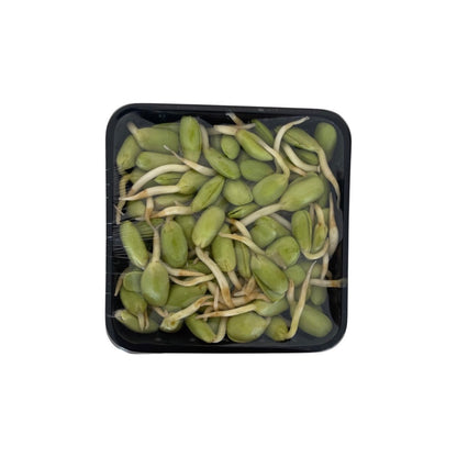 Gekeimte Niwah-Bohnen (geschält) (ลูกเหรียงแกะ) 100g