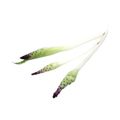 Siam-Tulpenblüten (ดอกกระเจียว) 100g