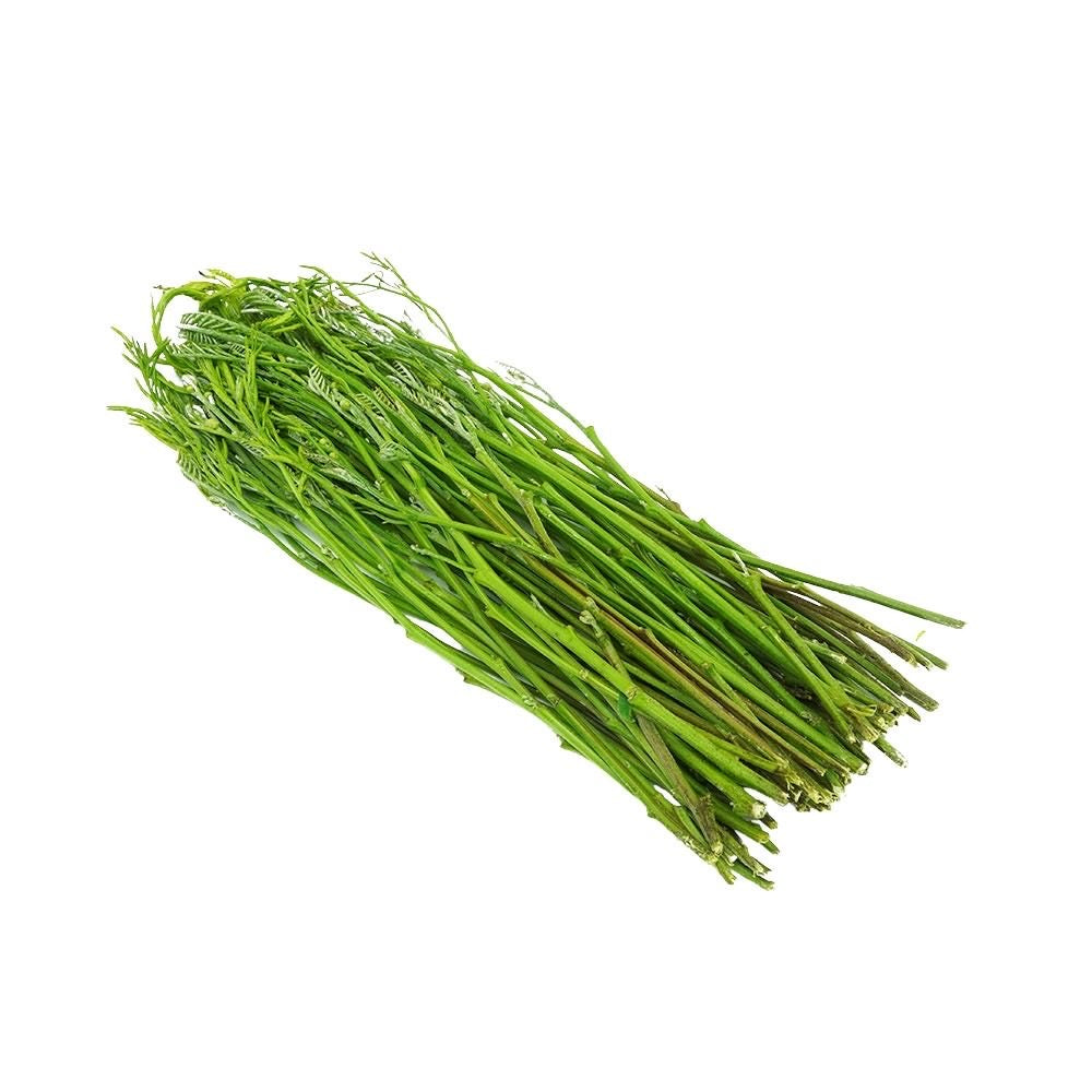 Leucaena-Triebe (ยอดกระถิน) 100g