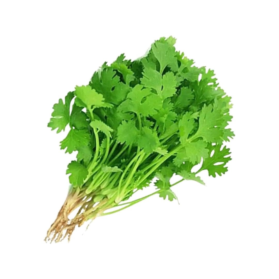 Thai-Koriander (ผักชีไทย) 80g