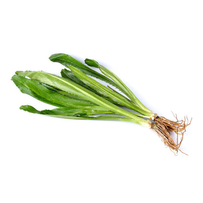 Langer Koriander (ผักชีฝรั่ง) 80g