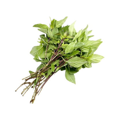 Thai-Basilikum (ใบโหระพา) 100g