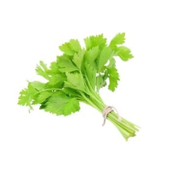 Chinesischer Sellerie (ขึ้นฉ่าย) 100g