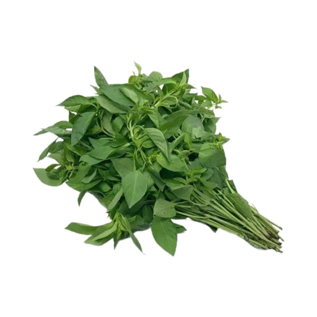Zitronenbasilikum (ใบแมงลัก) 100g