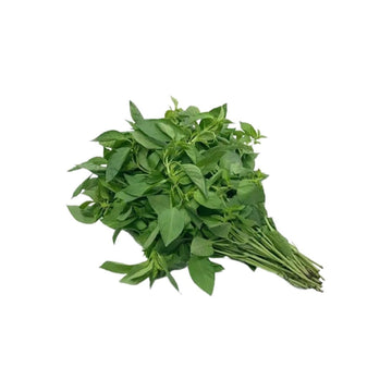 Frisches Zitronenbasilikum (ใบแมงลัก) 100g - Ohayo Asia Shop