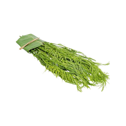 Akazienblätter (ชะอม) 100g