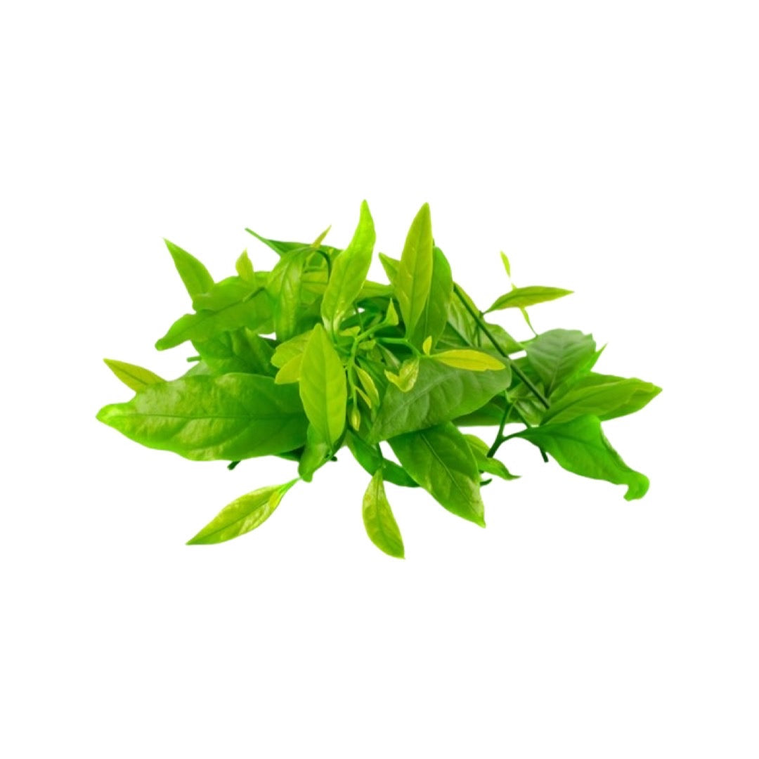 Wald-Süßkraut (ผักหวานป่า) 100g