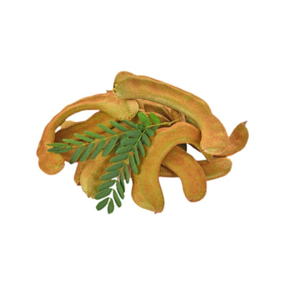 Unreife Tamarinde (มะขามอ่อน) 100g